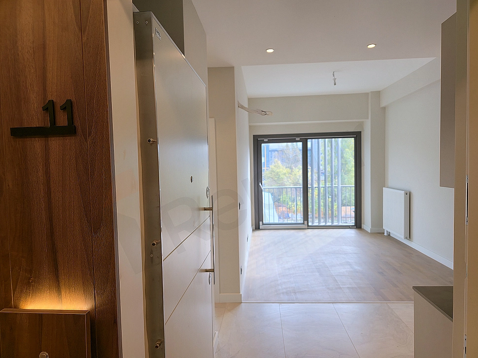 Modern apartment entrance door, wooden veneer, metal details, Kagithane Istanbul