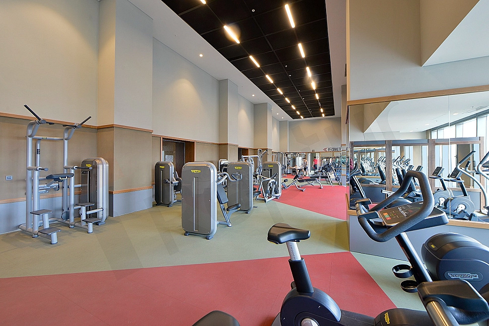 Interior view of a modern gym equipped with various exercise machines.