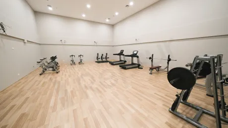 Spacious residence gym area with modern sports equipment and fitness machines.