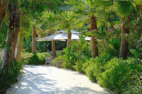 A view of a well-maintained garden with green areas and plants.
