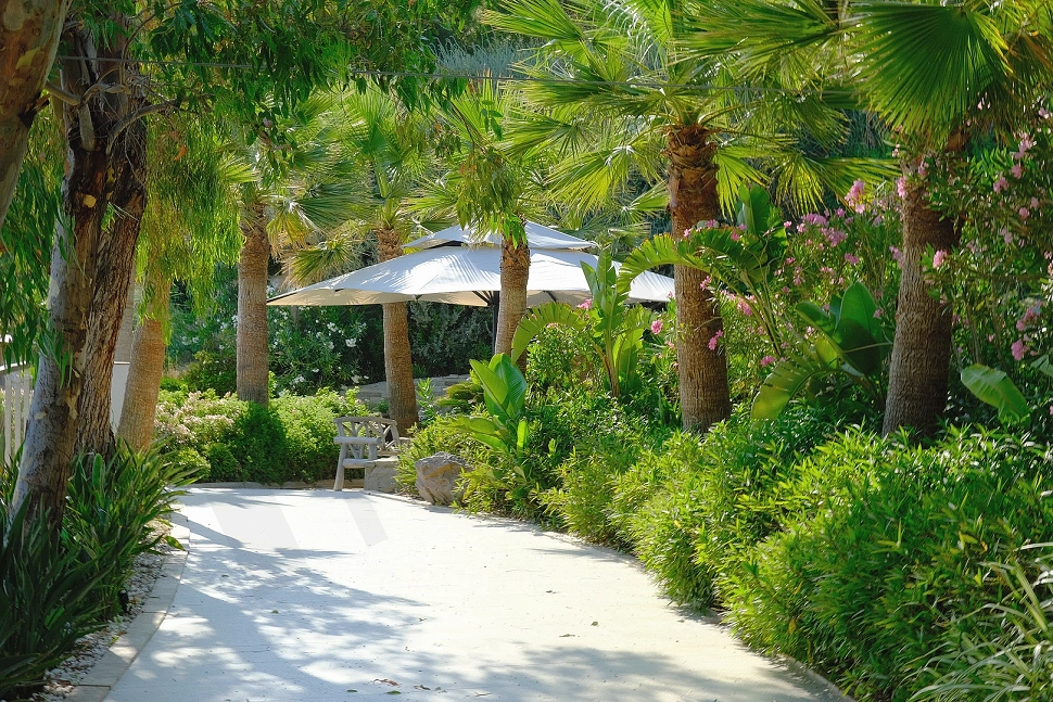 A view of a well-maintained garden with green areas and plants.
