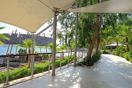 A peaceful garden with well-maintained green areas, various plants, and a walking path.