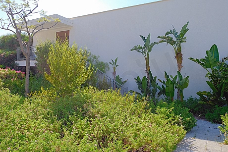 Modern and tidy entrance of an apartment.