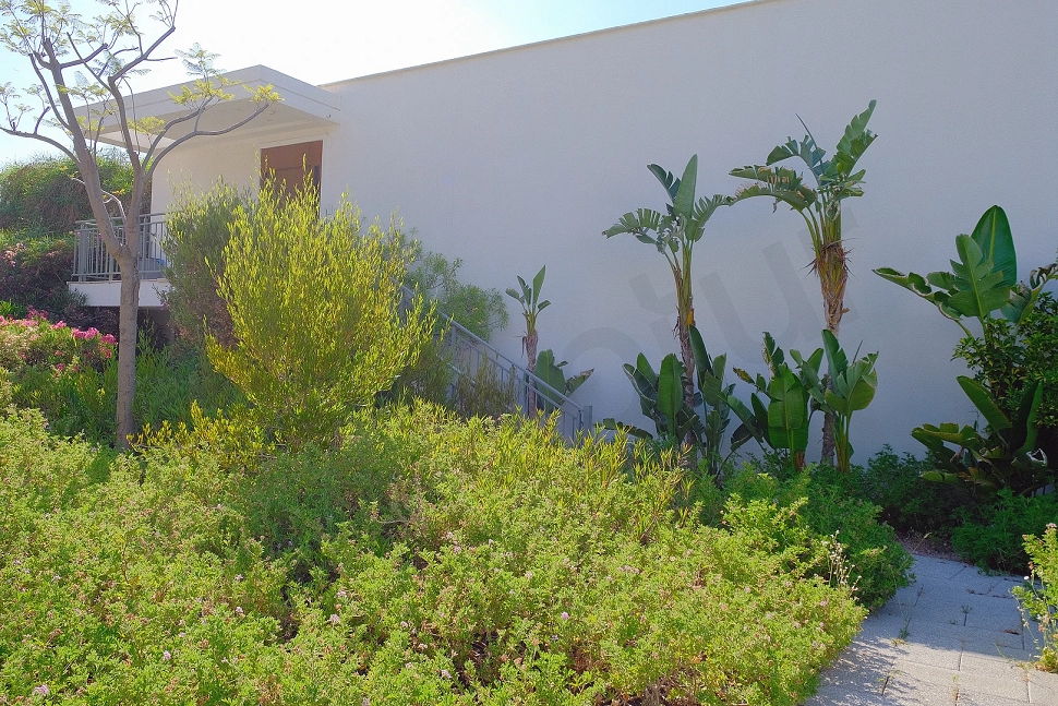 Modern and tidy entrance of an apartment.