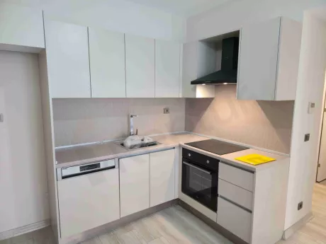 For Rent 1 Bedroom Apartment in Esenyurt