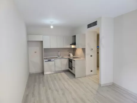 For Rent 1 Bedroom Apartment in New Condo near Esenyurt
