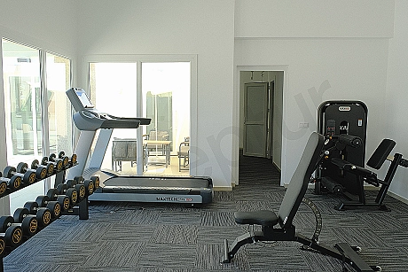 Gym equipment