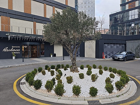 Spacious, well-lit, and secure indoor parking area of a modern residence building.