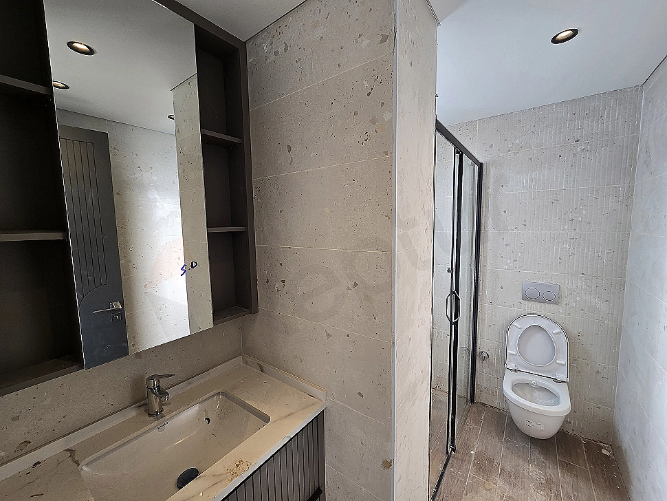 Modern designed luxury villa bathroom interior.