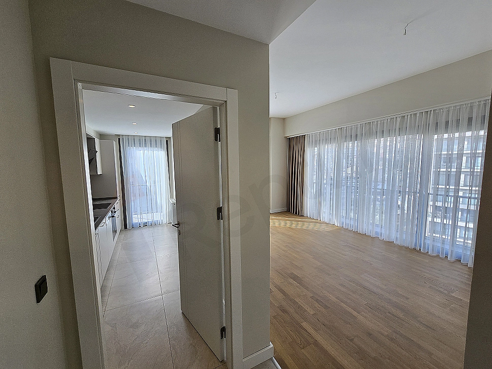 Modern living room interior.