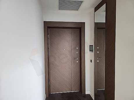 Entrance door and hall of a modern apartment