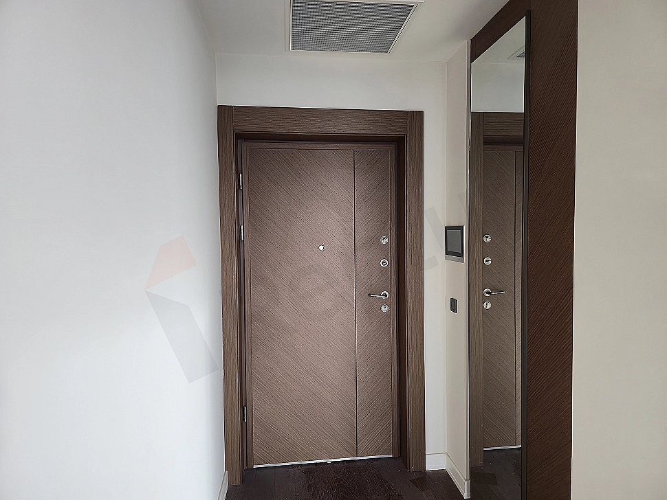 Entrance door and hall of a modern apartment