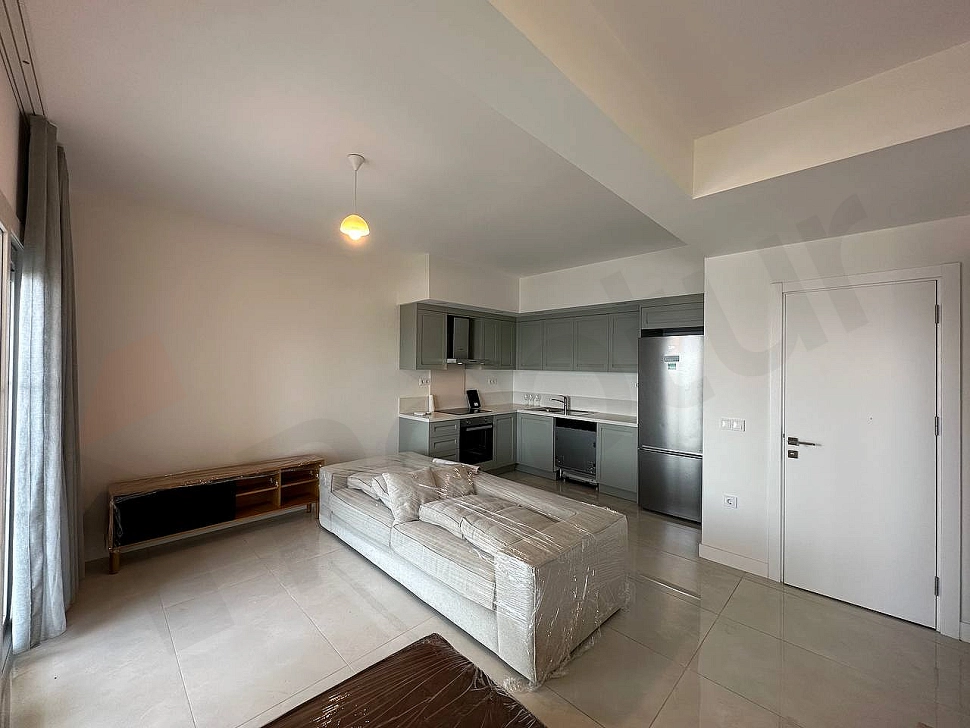 Modern open kitchen layout equipped with built-in appliances and cabinetry in a furnished apartment.