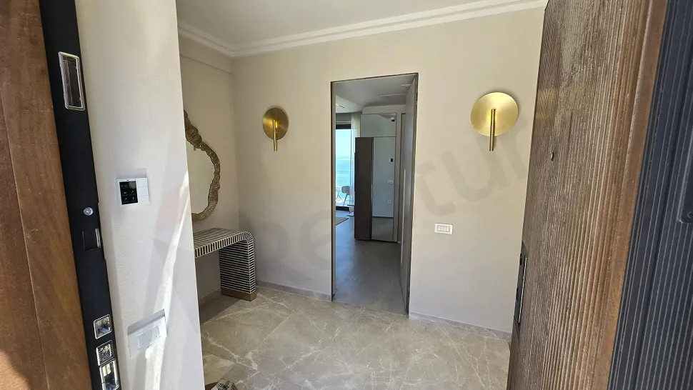 View of the entrance door and main entryway area of a modern detached house.