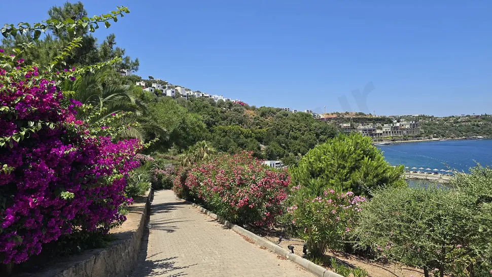 Spacious and modern landscaped garden area of a luxury villa in Bodrum.