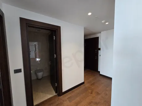 Elegant entrance door and hallway area of a modern residence apartment.