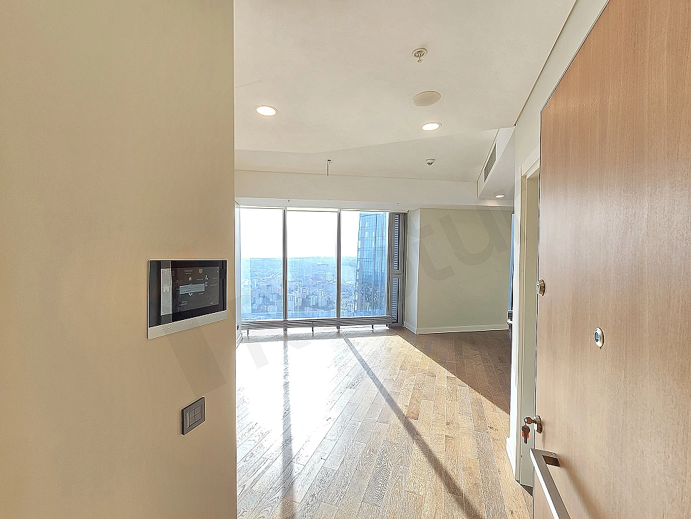 Modern apartment entrance area, wooden door, white walls, lighting detail