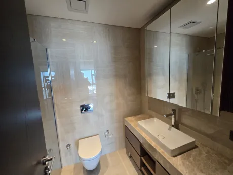 Modern and stylishly designed bathroom interior, high-quality ceramics and sink area.