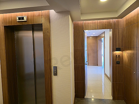 Entrance view of a modern duplex apartment. Featuring a wooden door, stylish lighting, and plant details.