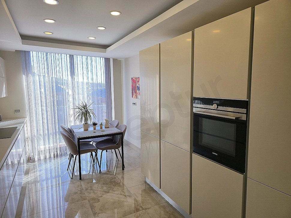 Modern built-in kitchen cabinets, spacious countertop and bright interior.