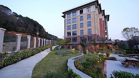 Image of a spacious and well-kept garden.