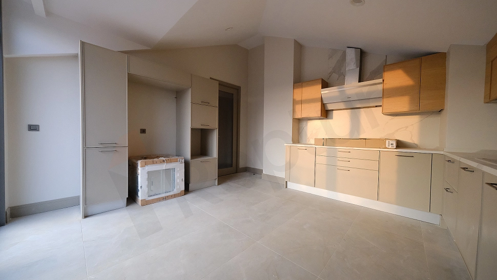 Modern kitchen interior.