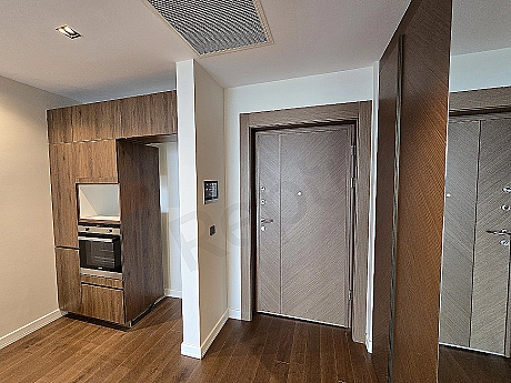 Modern apartment entrance hall and door