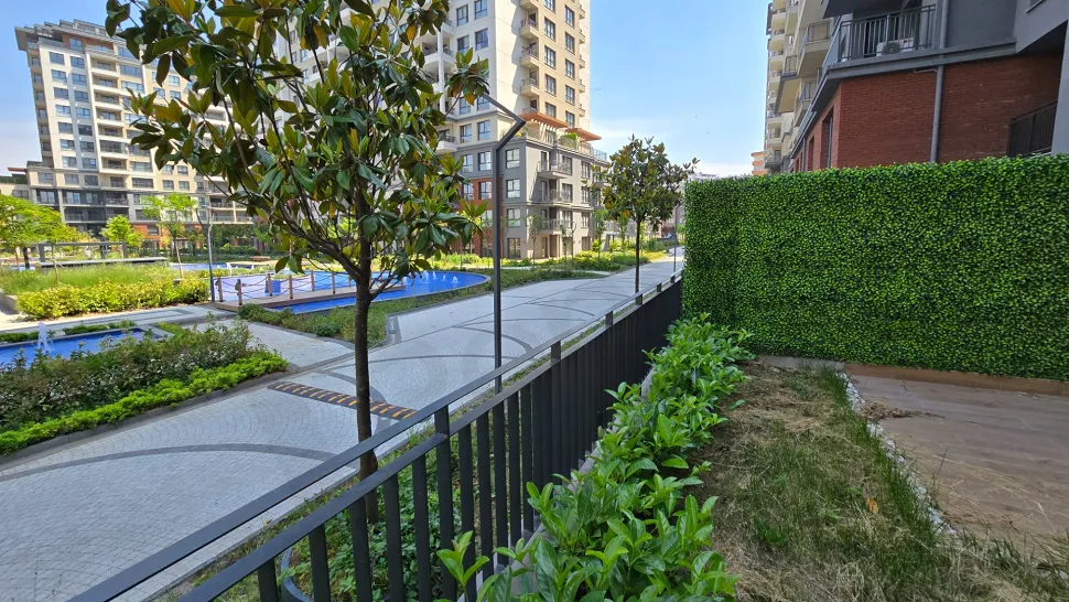 A spacious garden area surrounded by green plants with modern landscaping.