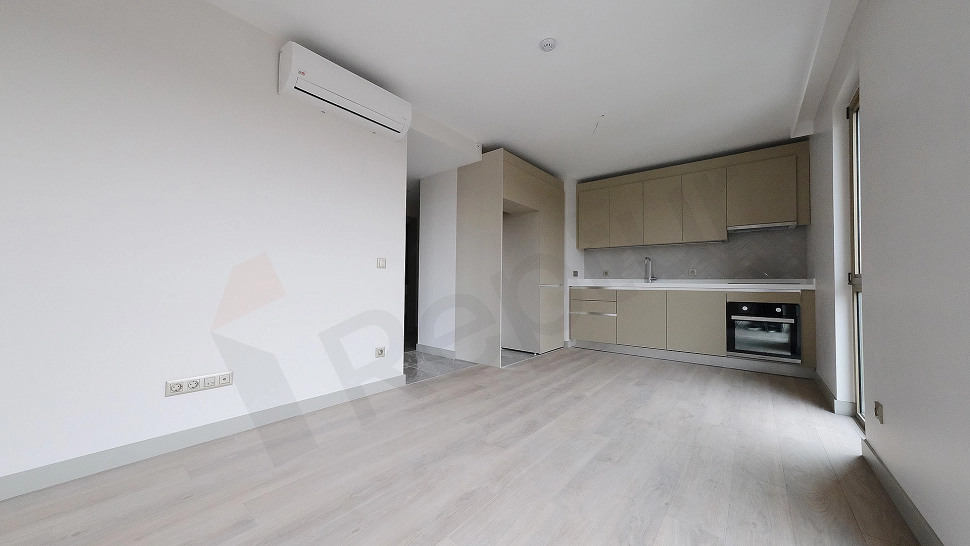 Modern kitchen countertop and cabinets