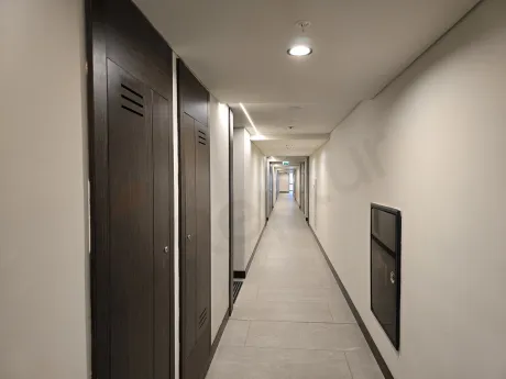A bright and spacious apartment corridor in a modern and stylish building.