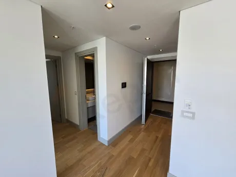 Entrance door and hallway area of a modern apartment.