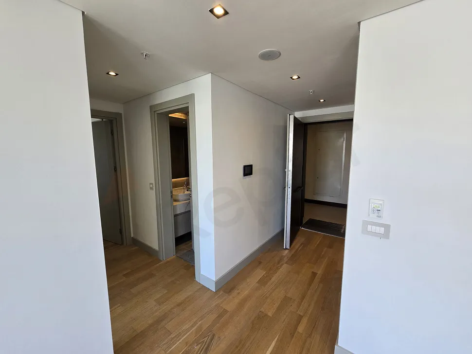 Entrance door and hallway area of a modern apartment.