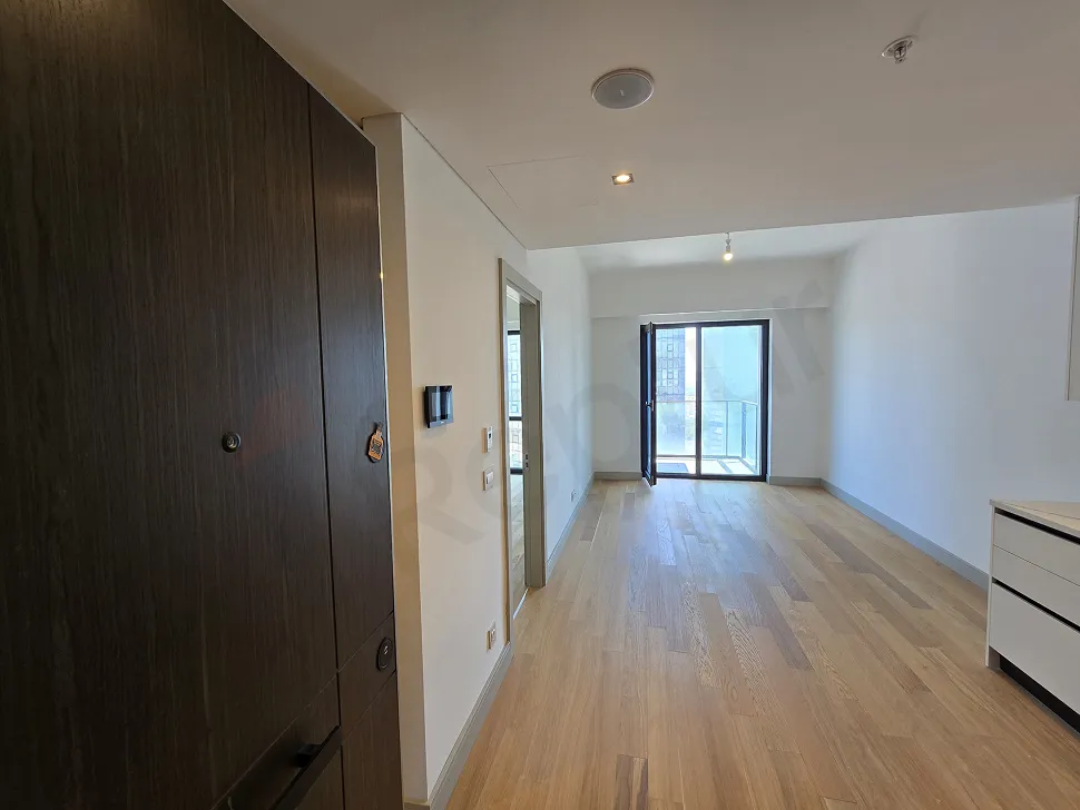 Entrance door and hallway of a modern residence apartment.