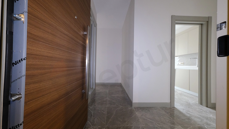 Apartment entrance door and hall detail.