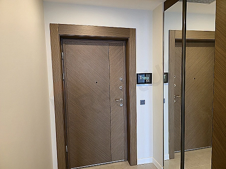 Modernly designed apartment entrance door with wooden details, metal frame and stylish lighting.