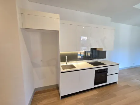 Modern open-plan kitchen design with contemporary cabinetry and countertops.