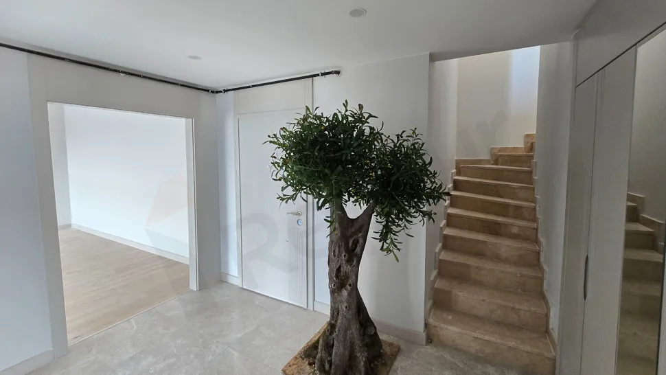 Entrance door and spacious hallway of a modern apartment.