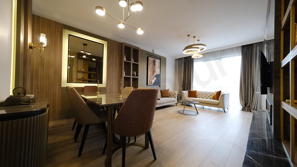 Stylishly designed furnished living room