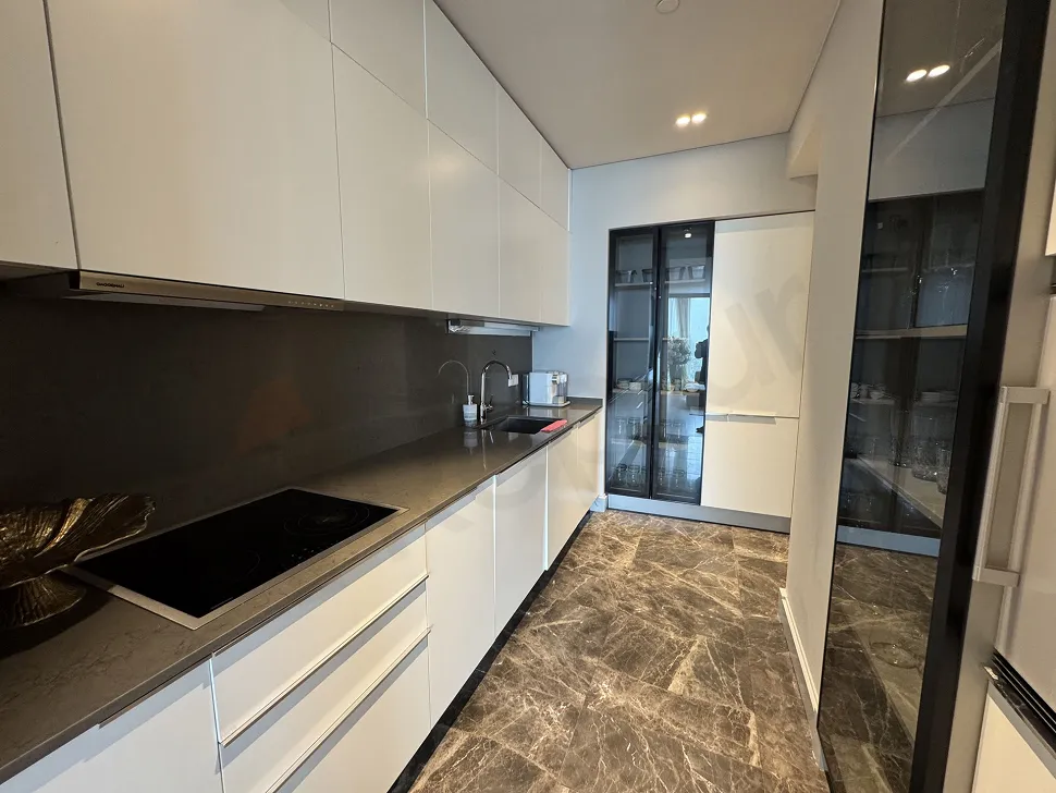 Modernly designed luxury furnished kitchen with stylish cabinets and spacious workspace.