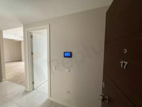 A view of a stylish and new apartment entrance door in a modern building.