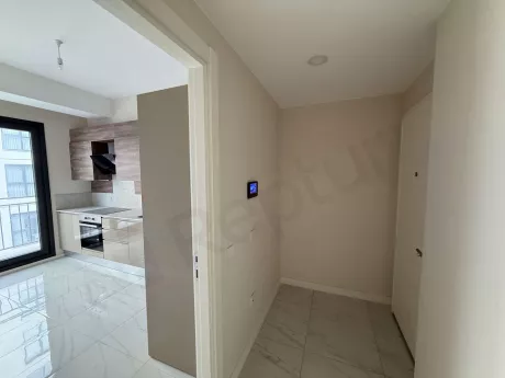 View of the entrance door and hallway area of a modern apartment.