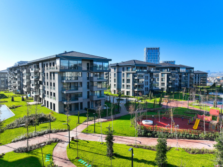 A grand project of family concept