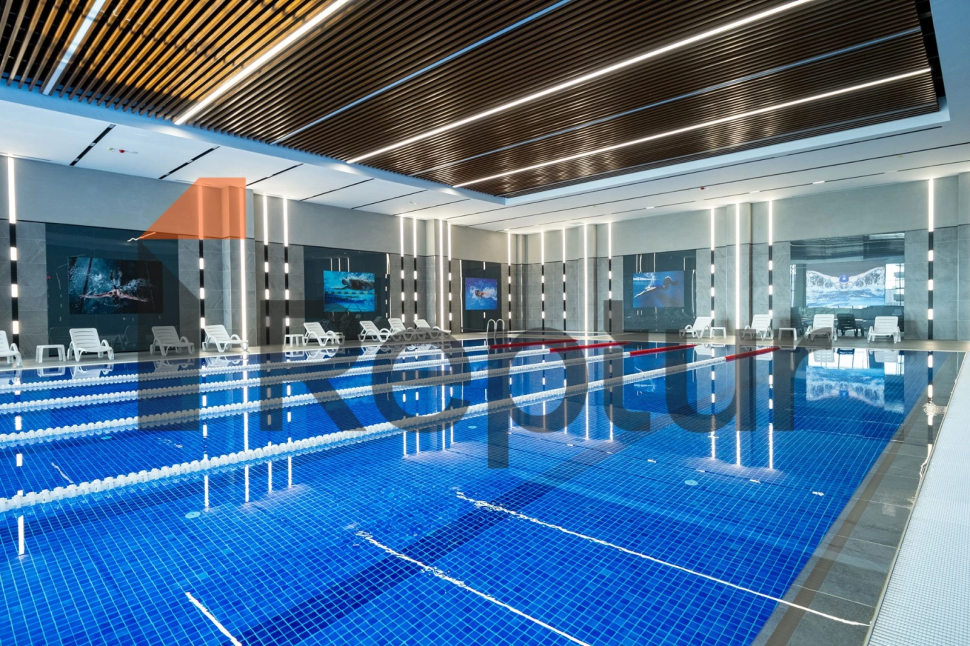 A grand project of family concept