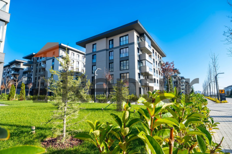 A grand project of family concept