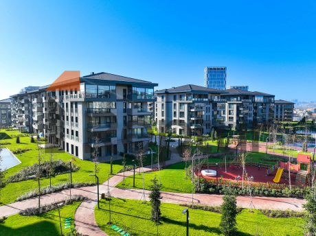 A grand project of family concept