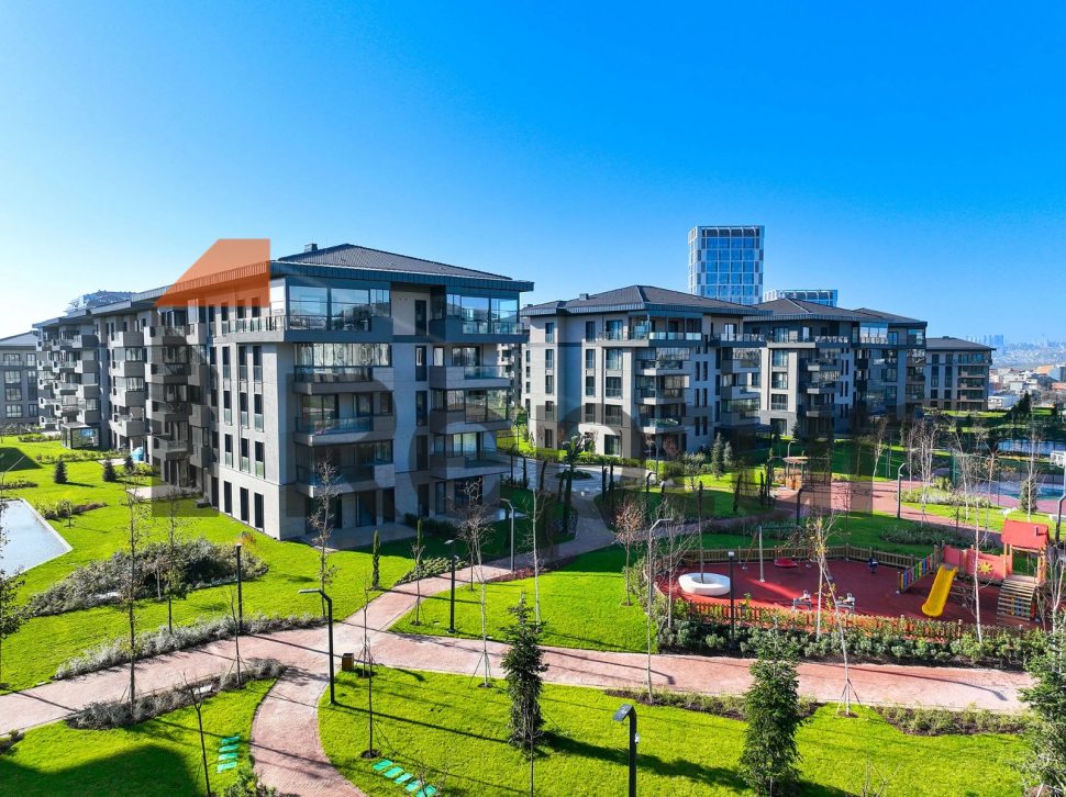 A grand project of family concept